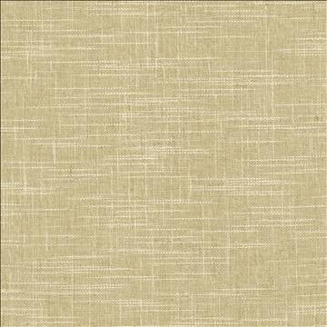Drancy Mushroom by Kasmir Fabric 5120 100% Polyester INDIA Not Tested H: N/A, V: N/A 54 - Fabric Carolina - Kasmir