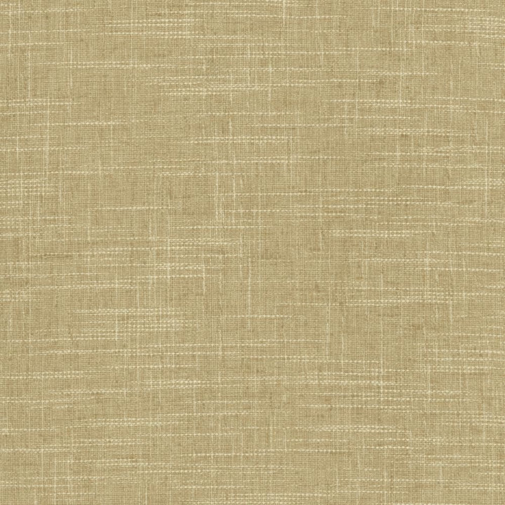 Drancy Rattan by Kasmir Fabric 5120 100% Polyester
 INDIA </p><p>Repeat: Horizontal: N/A and Vertical: N/A 54 - Fabric Carolina -