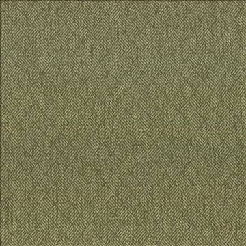 Dream Weaver Leaf by Kasmir Fabric 5090 69% Polyester 31% Cotton USA 50,000 Wyzenbeek Double Rubs H: 1 3/8 inches, V: 1 1/8 inches 54 - 55 - Fabric Carolina - Kasmir