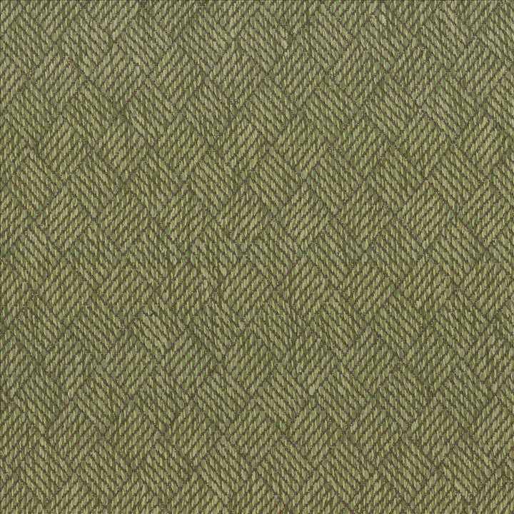 Dream Weaver Leaf by Kasmir Fabric 5090 69% Polyester
31% Cotton
 USA 50,000 Wyzenbeek Double Rubs </p><p>Repeat: Horizontal: 1 3/8 inches and Vertical: 1 1/8 inches 54 - Fabric Carolina -