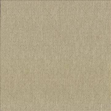 Dream Weaver Oyster by Kasmir Fabric 5083 69% Polyester 31% Cotton USA 50,000 Wyzenbeek Double Rubs H: 1 3/8 inches, V: 1 1/8 inches 54 - 55 - Fabric Carolina - Kasmir