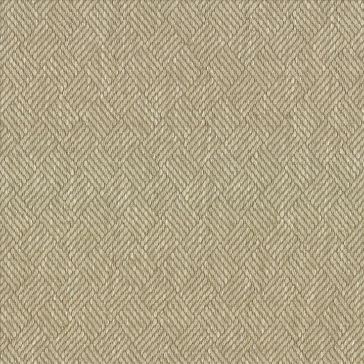 Dream Weaver Oyster by Kasmir Fabric 5083 69% Polyester
31% Cotton
 USA 50,000 Wyzenbeek Double Rubs Horizontal: 1 3/8 inches and Vertical: 1 1/8 inches 54 - Fabric Carolina -