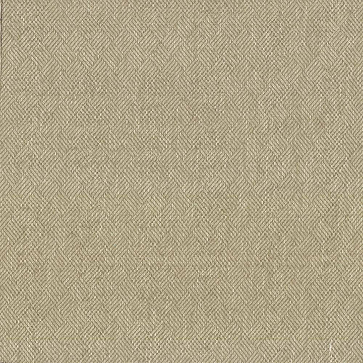 Dream Weaver Oyster by Kasmir Fabric 5083 69% Polyester 31% Cotton USA 50,000 Wyzenbeek Double Rubs H: 1 3/8 inches, V:1 1/8 inches 54 - 55 - Fabric Carolina - Kasmir
