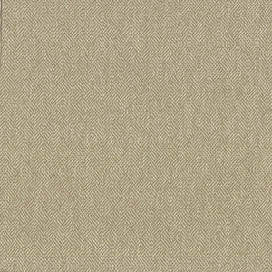Dream Weaver Oyster by Kasmir Fabric