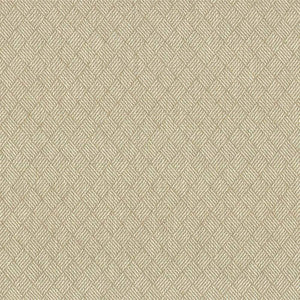 Dream Weaver Pearl by Kasmir Fabric