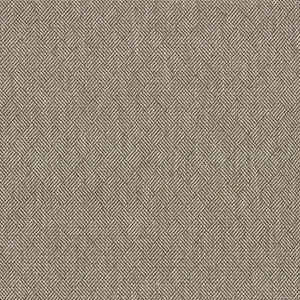 Dream Weaver Zinc by Kasmir Fabric