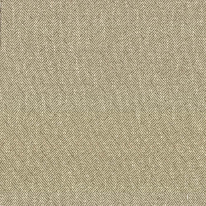 Dream Weaver Oyster by Kasmir Fabric 5083 69% Polyester
31% Cotton
 USA </p><p>Repeat: Horizontal: 1 3/8 inches and Vertical: 1 1/8 inches 54 - 55 - Fabric Carolina -