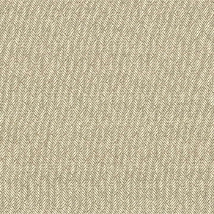 Dream Weaver Pearl by Kasmir Fabric 5083 69% Polyester
31% Cotton
 USA </p><p>Repeat: Horizontal: 1 3/8 inches and Vertical: 1 1/8 inches 54 - 55 - Fabric Carolina -