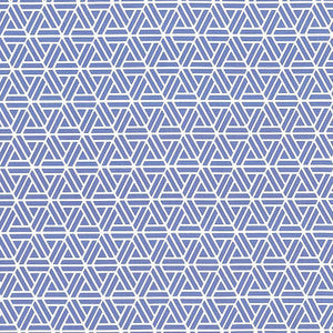 Drive Time Caspian by Kasmir Fabric