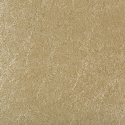 Kravet Design Duncan-16 by Kravet Design Fabric