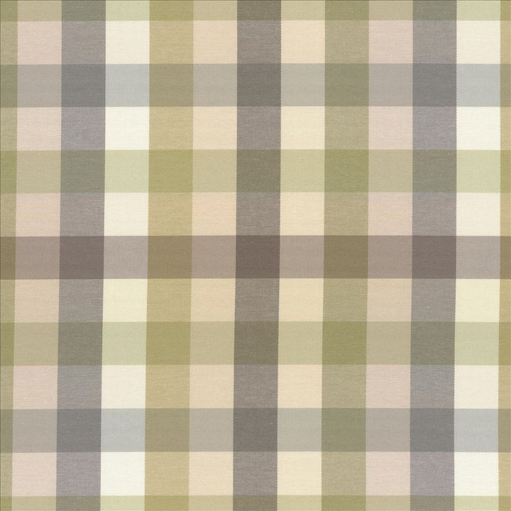 Dupuy Check Grey Garden by Kasmir Fabric 5078 53% Cotton
47% Polyester
 TAIWAN 12,000 Wyzenbeek Double Rubs </p><p>Repeat: Horizontal: 13 4/8 inches and Vertical: 13 4/8 inches 55 - Fabric Carolina -