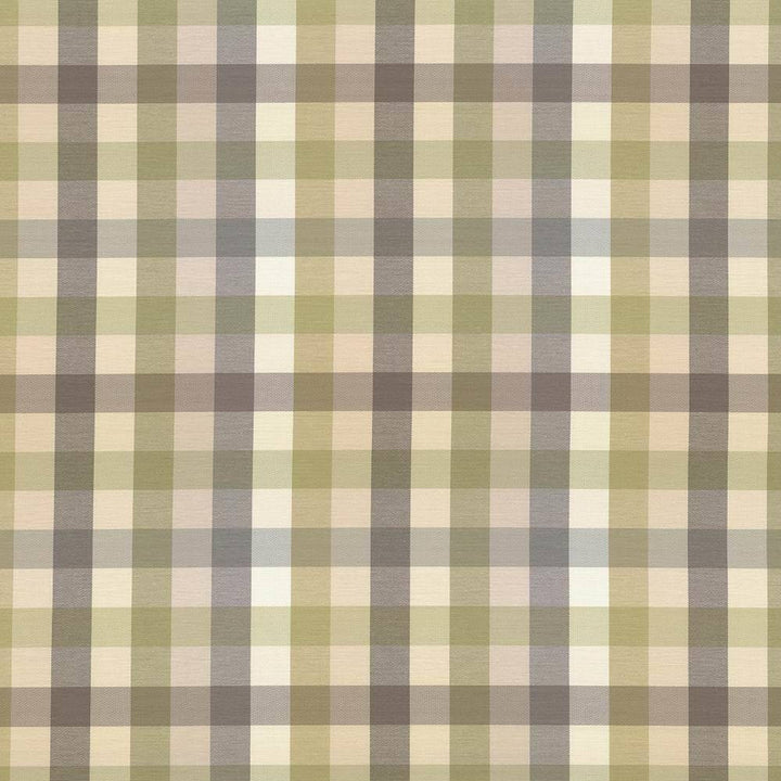 Dupuy Check Grey Garden by Kasmir Fabric 5078 53% Cotton 47% Polyester TAIWAN 12,000 Wyzenbeek Double Rubs H: 13 4/8 inches, V:13 4/8 inches 55 - Fabric Carolina - Kasmir
