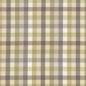 Dupuy Check Grey Garden by Kasmir Fabric