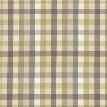 Dupuy Check Grey Garden by Kasmir Fabric 5078 53% Cotton 47% Polyester TAIWAN 12,000 Wyzenbeek Double Rubs H: 13 4/8 inches, V: 13 4/8 inches 55 - Fabric Carolina - Kasmir