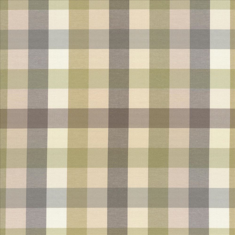 Dupuy Check Grey Garden  by Kasmir Fabric See sample 53% Cotton
47% Polyester
 TAIWAN 12,000 Wyzenbeek Double Rubs </p><p>Repeat: Horizontal: 13 4/8 inches and Vertical: 13 4/8 inches 55  - Fabric Carolina -