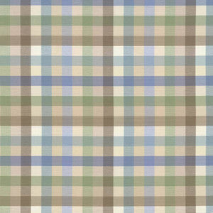 Dupuy Check Mineral by Kasmir Fabric