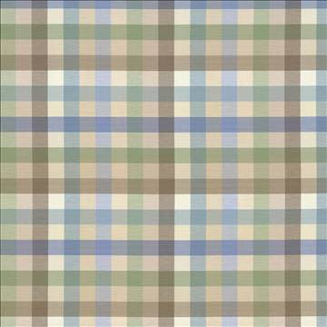 Dupuy Check Mineral by Kasmir Fabric 5082 53% Cotton 47% Polyester TAIWAN 12,000 Wyzenbeek Double Rubs H: 13 4/8 inches, V: 13 4/8 inches 55 - Fabric Carolina - Kasmir