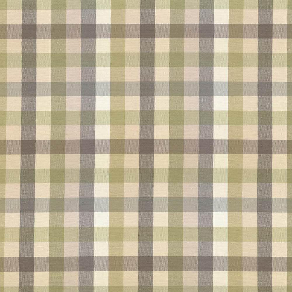 Dupuy Check Grey Garden by Kasmir Fabric 5078 53% Cotton
47% Polyester
 TAIWAN </p><p>Repeat: Horizontal: 13 4/8 inches and Vertical: 13 4/8 inches 55 - Fabric Carolina -