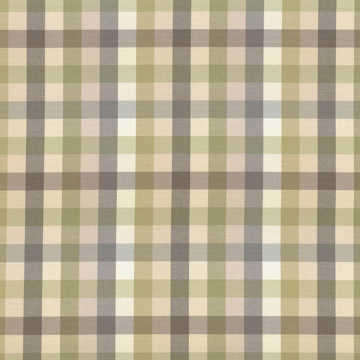 Dupuy Check Grey Garden by Kasmir Fabric 5078 53% Cotton
47% Polyester
 TAIWAN </p><p>Repeat: Horizontal: 13 4/8 inches and Vertical: 13 4/8 inches 55 - Fabric Carolina -