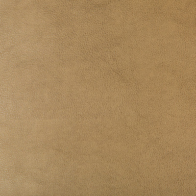 Kravet Design Dust-106 by Kravet Design Fabric