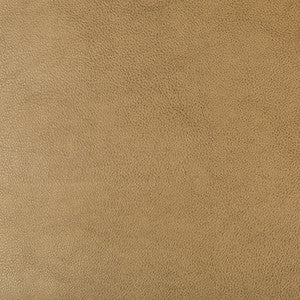 Kravet Design Dust-106 by Kravet Design Fabric