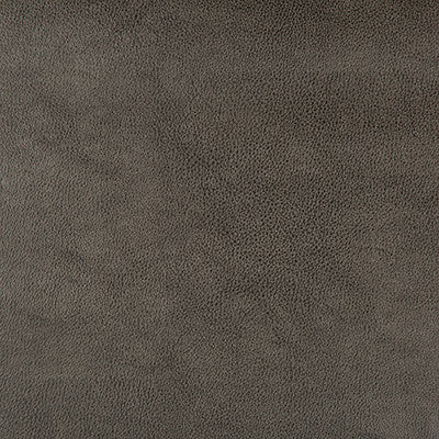 Kravet Design Dust-21 by Kravet Design Fabric