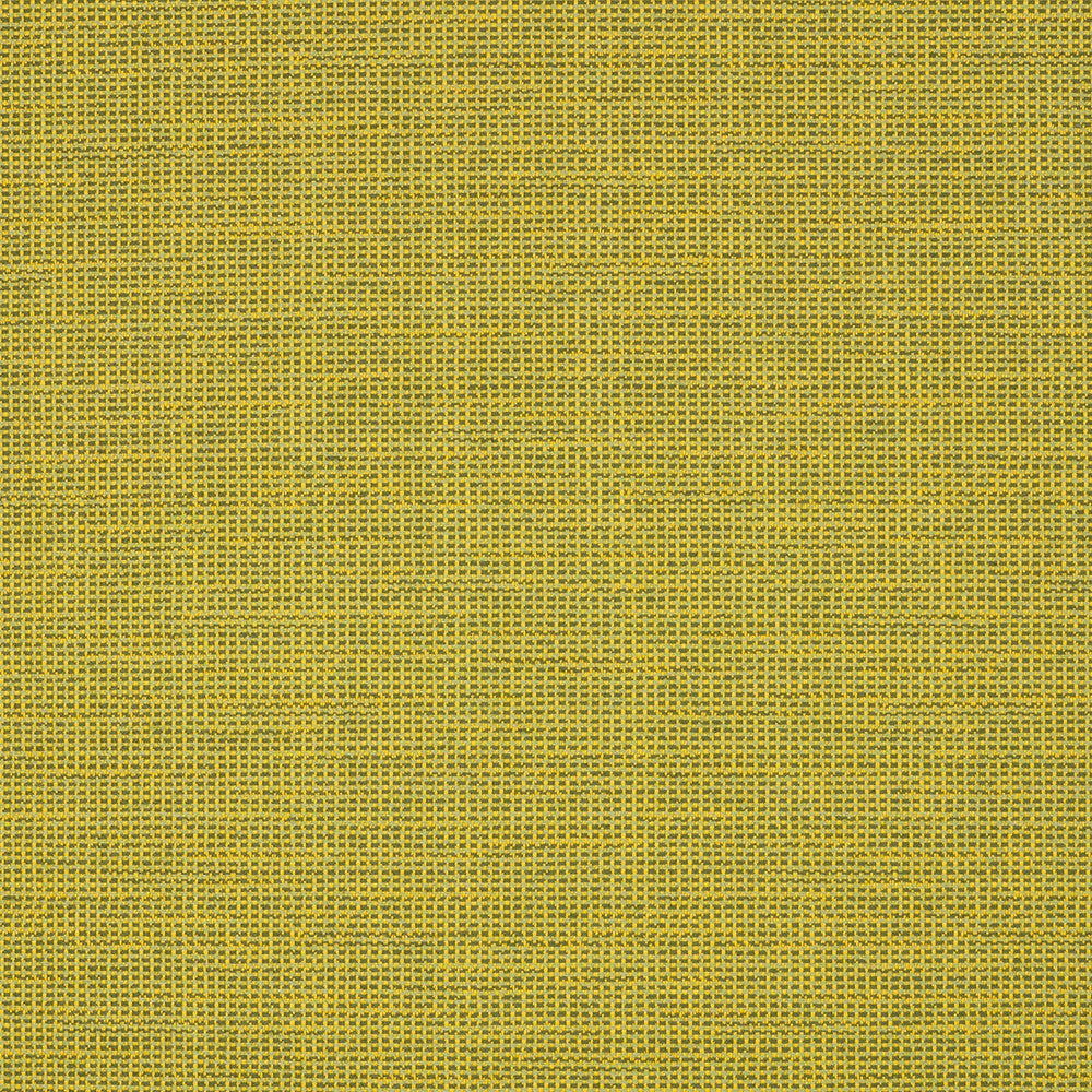 87005-0006 Rally Leaf by Sunbrella Fabric Sunbrella Transcend Sunbrella® Acrylic, Sunbrella® Polyester USA or Imported 5-Year Horizontal: and Vertical: 55 yd. 54 in. - Fabric Carolina -