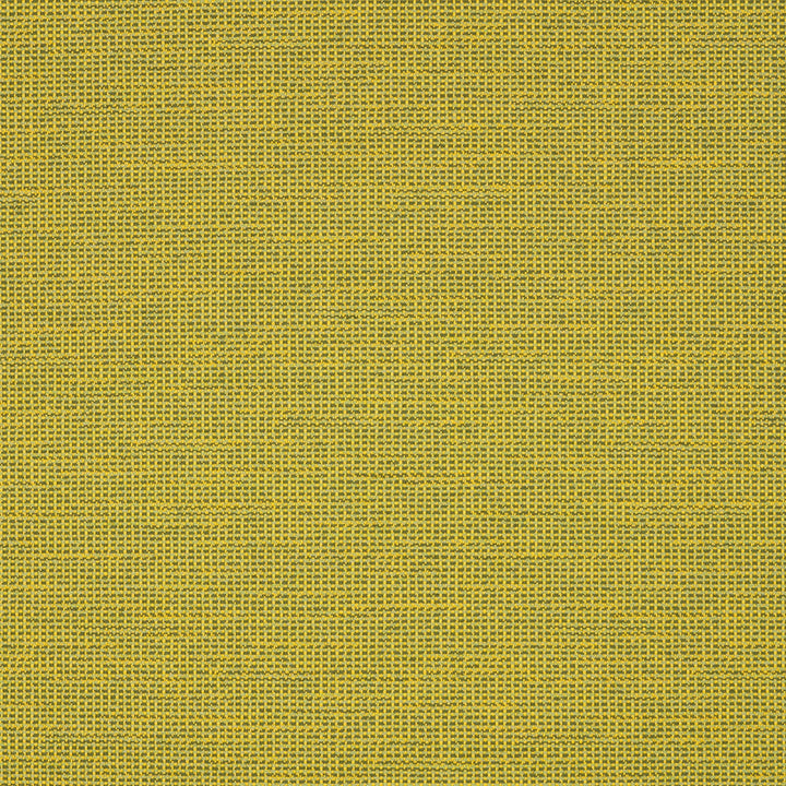 87005-0006 Rally Leaf by Sunbrella Fabric Sunbrella Transcend Sunbrella® Acrylic, Sunbrella® Polyester USA or Imported 5-Year Horizontal: and Vertical: 55 yd. 54 in. - Fabric Carolina -