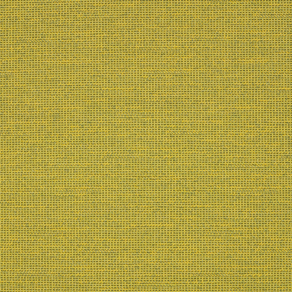 87005-0006 Rally Leaf by Sunbrella Fabric Sunbrella Transcend Sunbrella® Acrylic, Sunbrella® Polyester USA or Imported 5-Year Horizontal: and Vertical: 55 yd. 54 in. - Fabric Carolina -