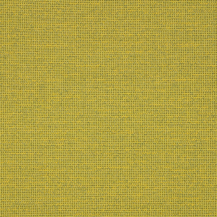 87005-0006 Rally Leaf by Sunbrella Fabric Sunbrella Transcend Sunbrella® Acrylic, Sunbrella® Polyester USA or Imported 5-Year Horizontal: and Vertical: 55 yd. 54 in. - Fabric Carolina -