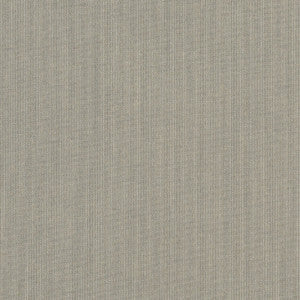 48032 77 Rain Spectrum Dove by Sunbrella Fabric