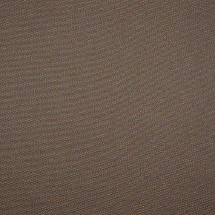Lopi Coconut R014 by Sunbrella European Fabric Sunbrella® Acrylic, Sunbrella® Polyester Horizontal: and Vertical: 55 in. - Fabric Carolina -