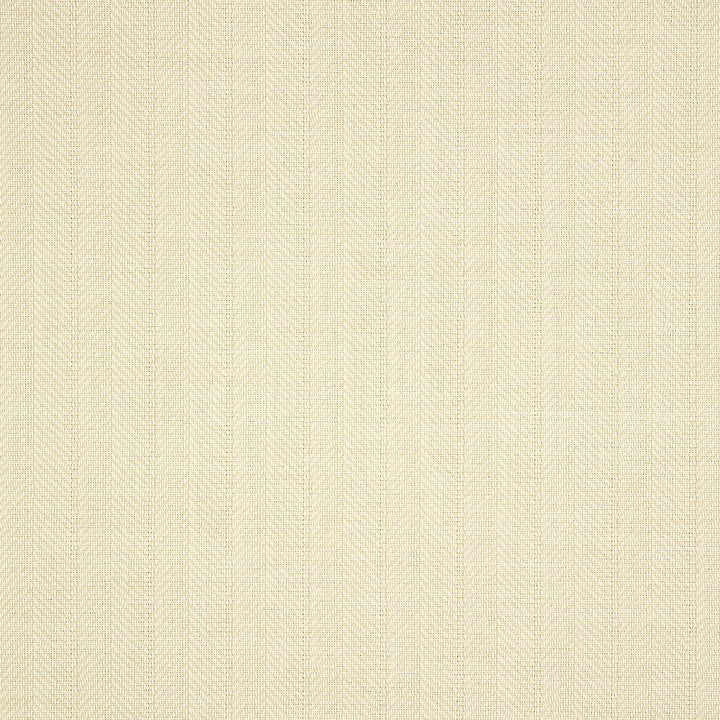 45893-0003 Boss Tweede II Salt by Sunbrella Fabric Sunbrella Acrylic USA or Imported 5-Year Horizontal: 40 yd. and Vertical: 0.8 in. 54 in. - Fabric Carolina -