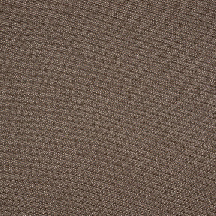 LOP R014 140 Lopi Coconut by Sunbrella Designer Fabric Sunbrella European SunbrellaÂ® Acrylic, SunbrellaÂ® Polyester USA or Imported 5-Year Horizontal: and Vertical: 55 in. - Swanky Fabrics -