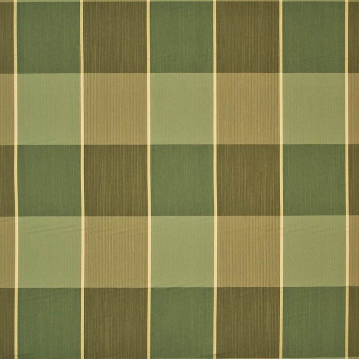 Eaton Plaid Pesto by Kasmir Fabric 1398 62% Rayon
36% Polyester
2% Silk
 USA </p><p>Repeat: Horizontal: 13 4/8 inches and Vertical: 12 4/8 inches 54 - 55 - Fabric Carolina -