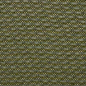ARCH R055 140 Archi Oxide by Sunbrella Fabric