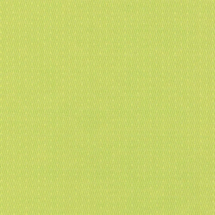 Ecco Chic Citrine  by Kasmir Fabric See sample 68% Rayon
32% Polyester
 CHINA 51,000 Wyzenbeek Double Rubs </p><p>Repeat: Horizontal: N/A and Vertical: N/A 55  - Fabric Carolina -