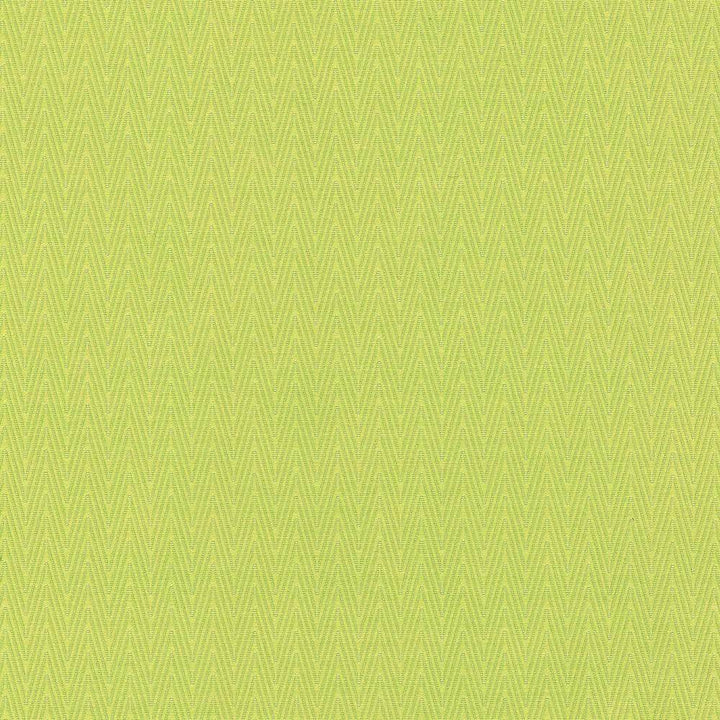 Ecco Chic Citrine by Kasmir Fabric 5074 68% Rayon 32% Polyester CHINA 51,000 Wyzenbeek Double Rubs H: N/A, V:N/A 55 - Fabric Carolina - Kasmir