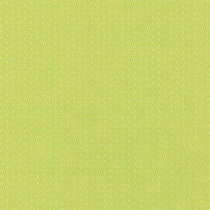 Ecco Chic Citrine by Kasmir Fabric