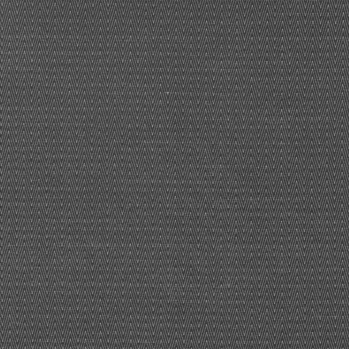 Ecco Chic Onyx by Kasmir Fabric 5068 68% Rayon 32% Polyester CHINA 51,000 Wyzenbeek Double Rubs H: N/A, V:N/A 55 - Fabric Carolina - Kasmir