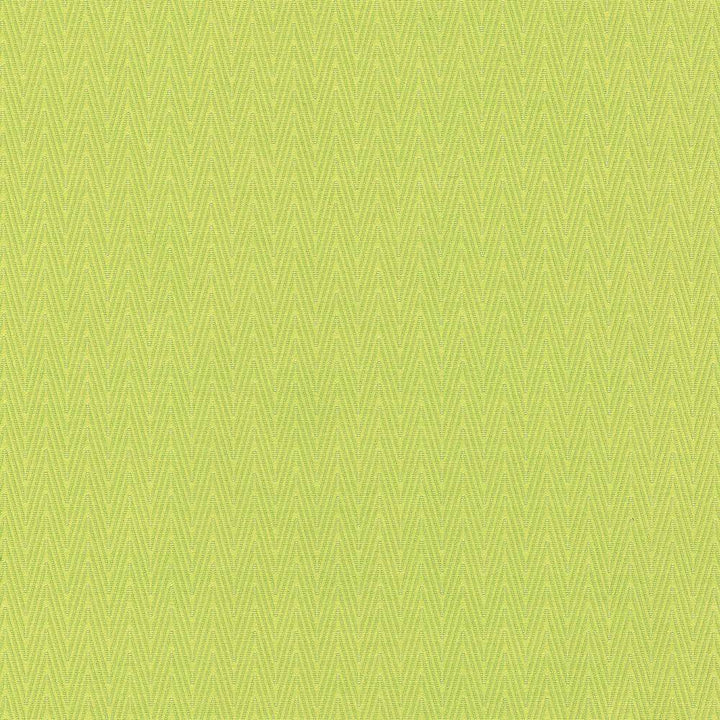 Ecco Chic Citrine by Kasmir Fabric 5074 68% Rayon
32% Polyester
 CHINA </p><p>Repeat: Horizontal: N/A and Vertical: N/A 55 - Fabric Carolina -
