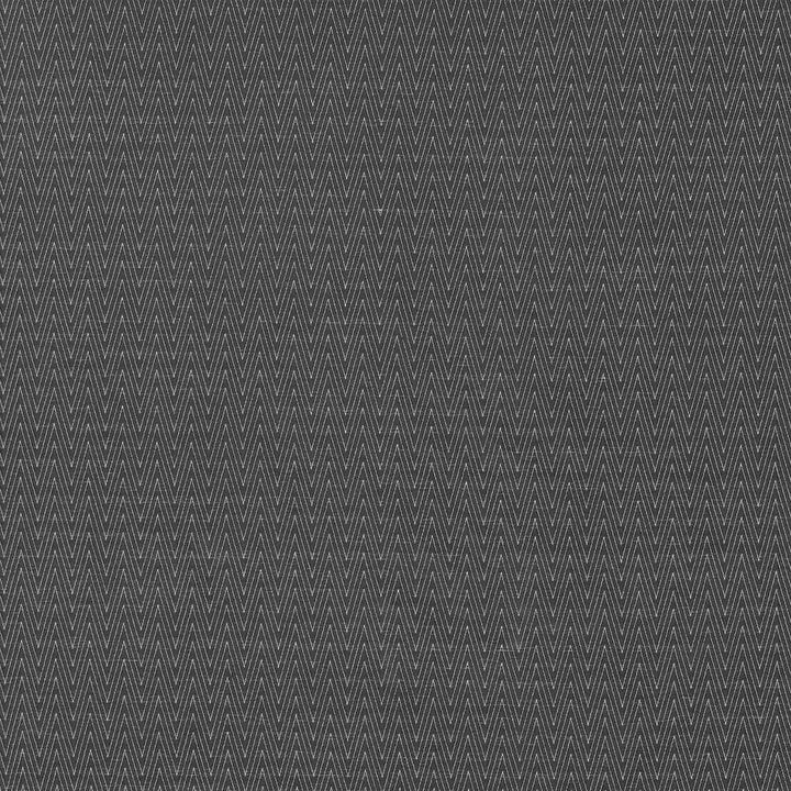 Ecco Chic Onyx by Kasmir Fabric 5068 68% Rayon
32% Polyester
 CHINA </p><p>Repeat: Horizontal: N/A and Vertical: N/A 55 - Fabric Carolina -