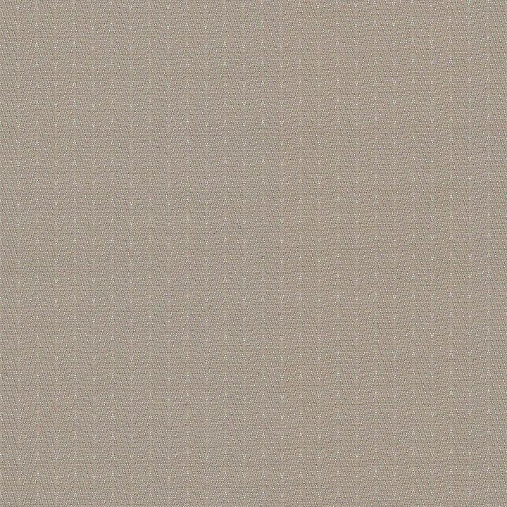 Ecco Chic Quartz by Kasmir Fabric 5067 68% Rayon
32% Polyester
 CHINA </p><p>Repeat: Horizontal: N/A and Vertical: N/A 55 - Fabric Carolina -