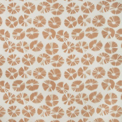 Echino Clay by Kravet Couture Fabric