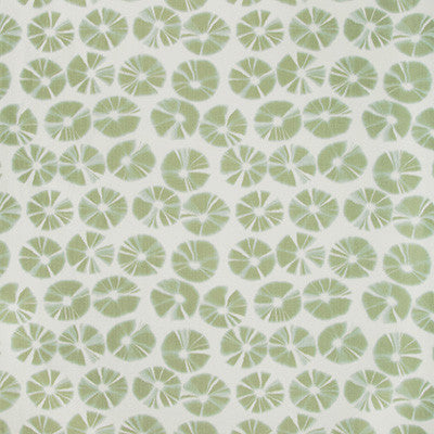 Echino Palm by Kravet Couture Fabric