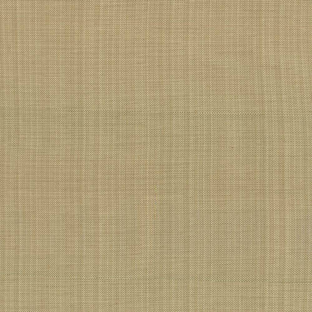 Ecuador Beige by Kasmir Fabric 1333 84% Polyester 16% Cotton INDIA 30,000 Wyzenbeek Double Rubs H: N/A, V:N/A 54 - Fabric Carolina - Kasmir