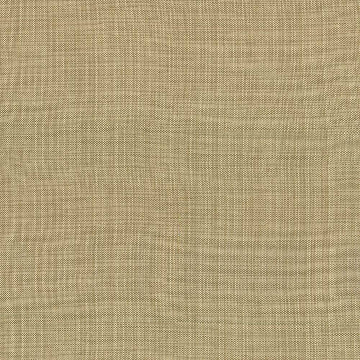 Ecuador Beige by Kasmir Fabric 1333 84% Polyester 16% Cotton INDIA 30,000 Wyzenbeek Double Rubs H: N/A, V:N/A 54 - Fabric Carolina - Kasmir