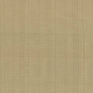 Ecuador Beige by Kasmir Fabric