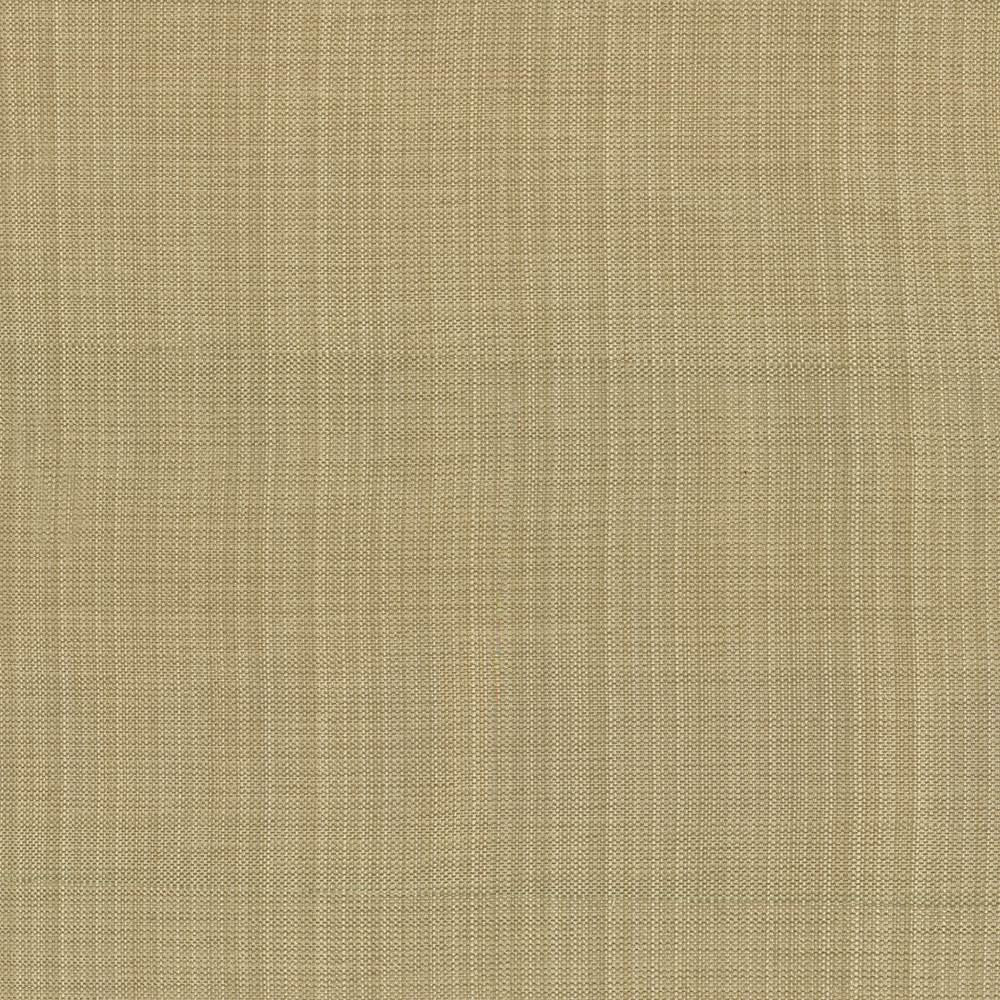 Ecuador Beige  by Kasmir Fabric See sample 84% Polyester
16% Cotton
 INDIA 30,000 Wyzenbeek Double Rubs </p><p>Repeat: Horizontal: N/A and Vertical: N/A 54  - Fabric Carolina -