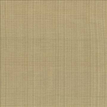 Ecuador Beige by Kasmir Fabric 1333 84% Polyester 16% Cotton INDIA 30,000 Wyzenbeek Double Rubs H: N/A, V: N/A 54 - Fabric Carolina - Kasmir